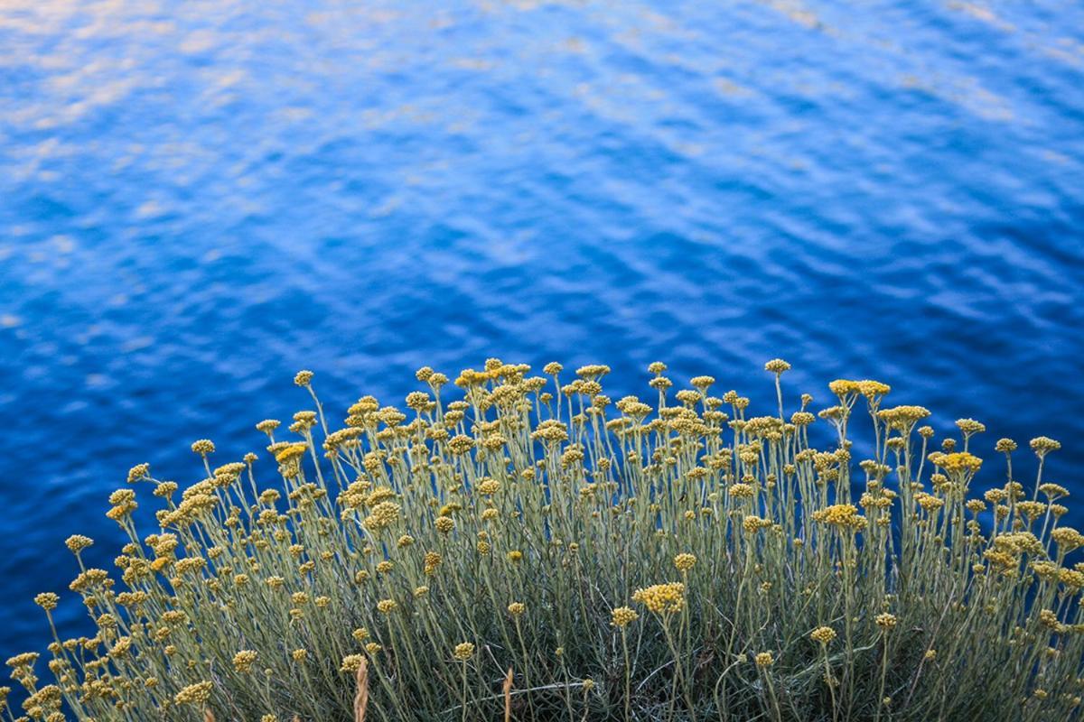 Dandy Leilighet Povljana Eksteriør bilde